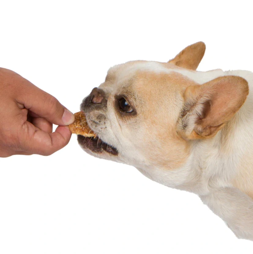 how to make chicken chips for dogs at home