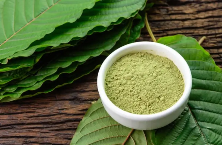 Is Kratom bad for dogs?