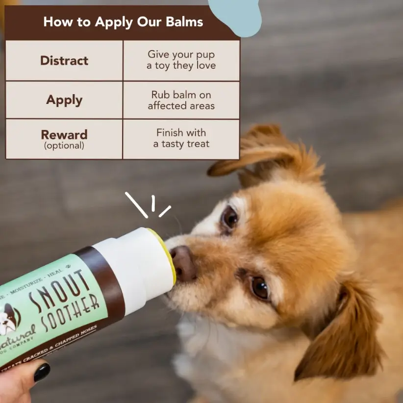 snout soother for dogs