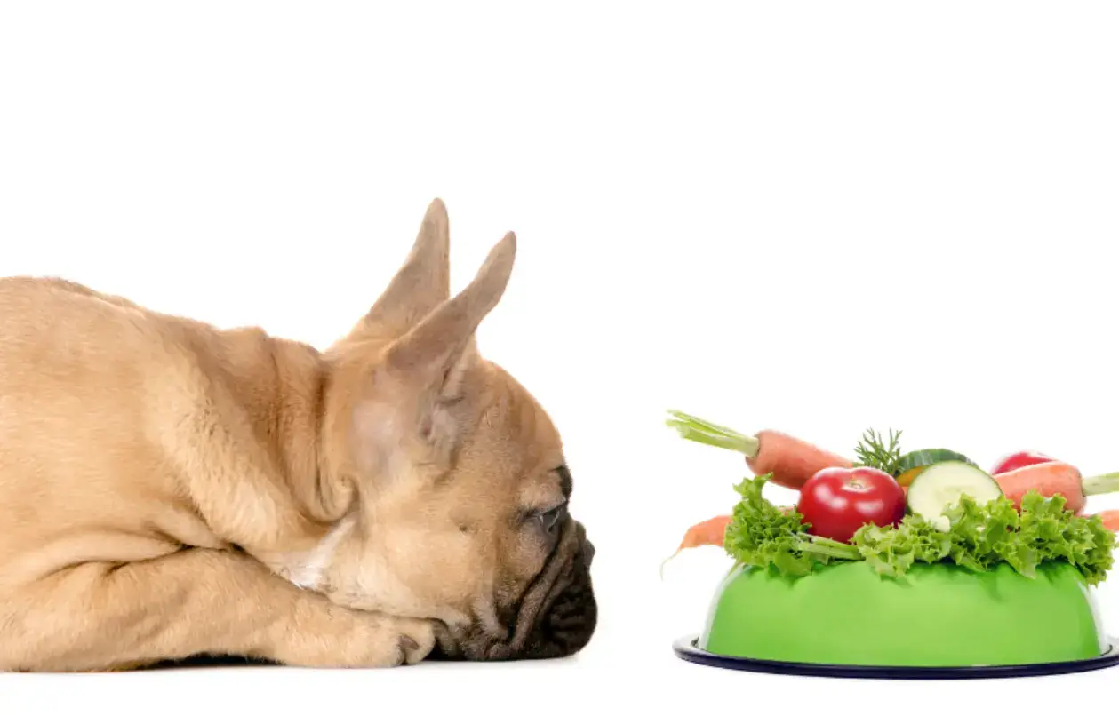 best vegetables for Frenchies