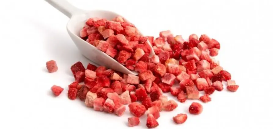 can dogs eat freeze dried strawberries?
